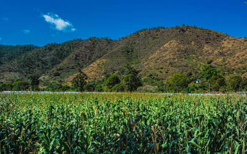 Monitorean 12 departamentos por saturación de suelos