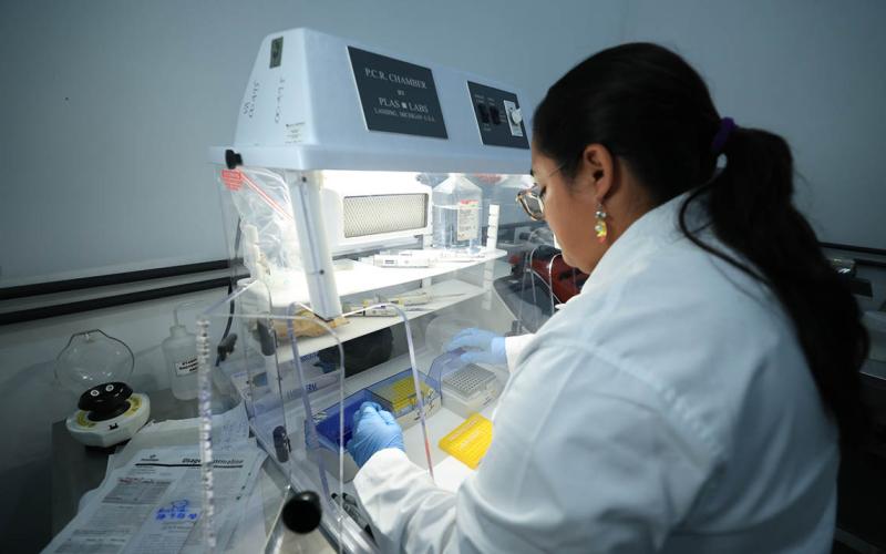 Reactivan diagnóstico molecular para fortalecer detección de plagas en cultivos