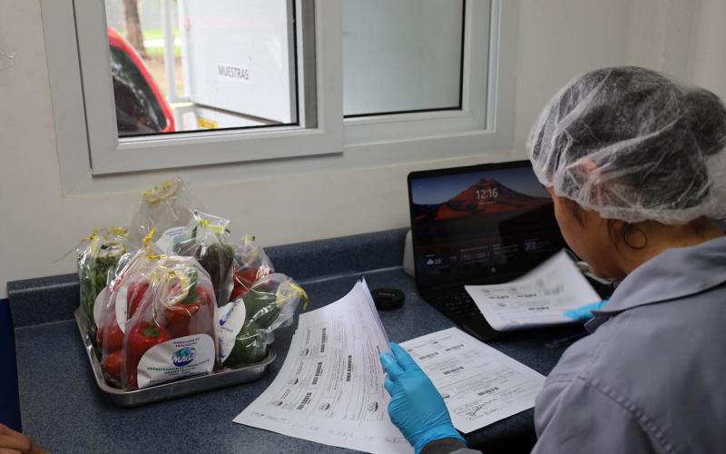 Refuerzan control de alimentos con más de dos mil análisis de inocuidad