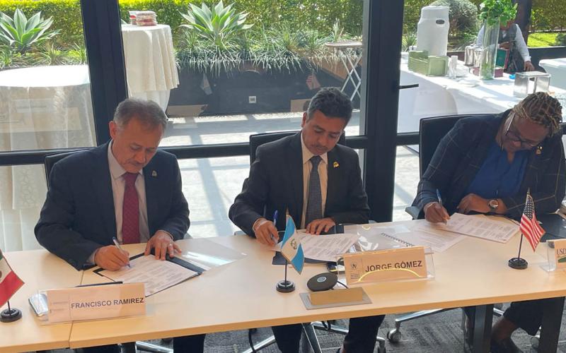 Reportan niveles más bajos de mosca del Mediterráneo en una década