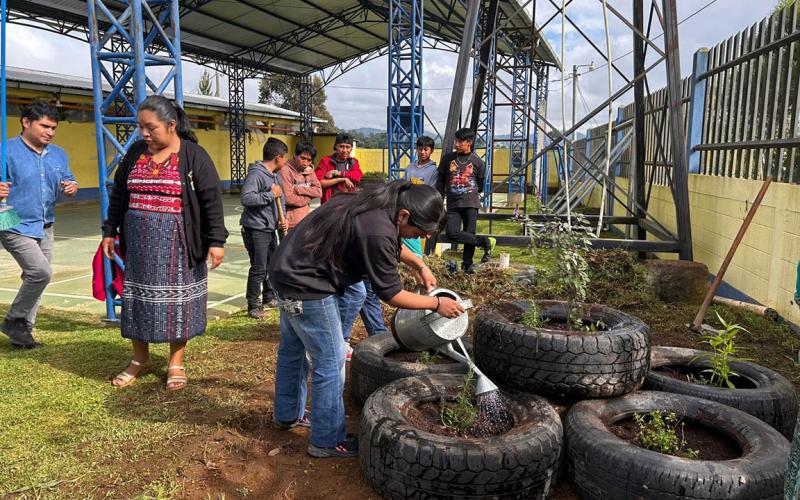 Servidoras cívicas impulsan huertos medicinales