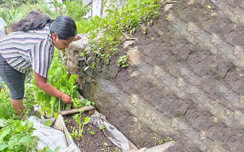 Verifican proyectos elegibles para el programa Alimentos por Acciones