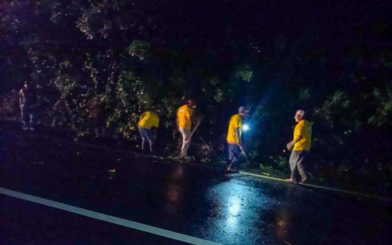 Covial retira árbol caído y restablece paso en la CA-1 Oriente