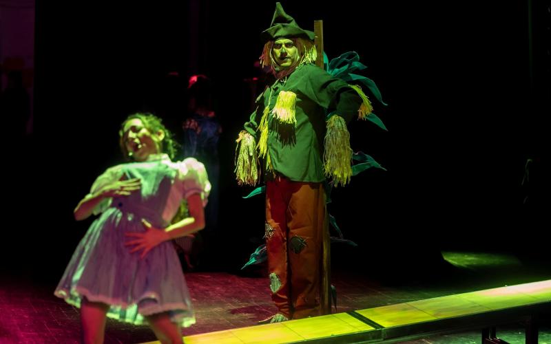 “El misterioso mago”