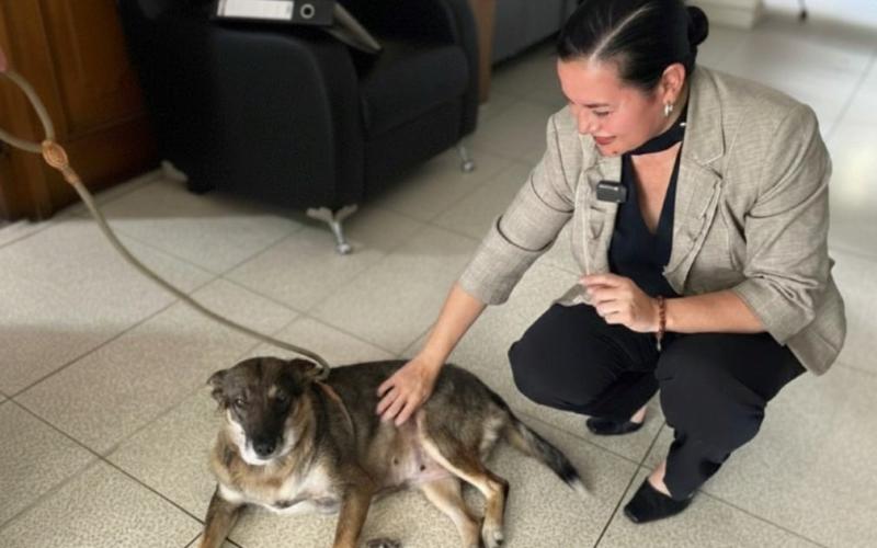 Visita de trabajo para fortalecimiento institucional de la UBA