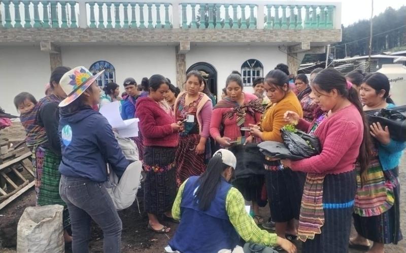 Huertos verticales: una solución para la producción de alimentos en Sololá