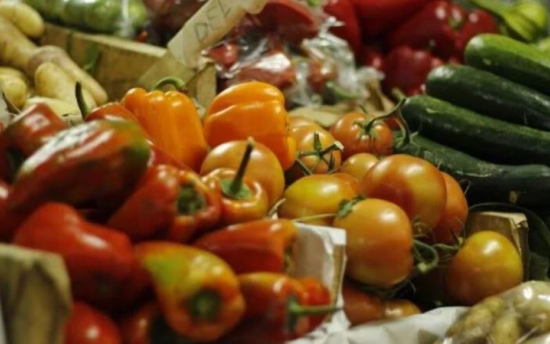 Día Internacional de Concientización sobre la Pérdida y el Desperdicio de Alimentos: un llamado a valorar lo que comemos