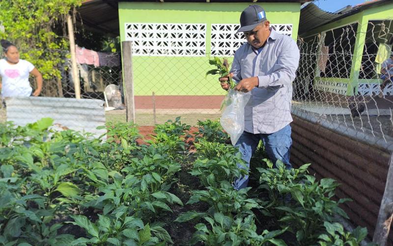 Agricultores de Melchor de Mencos reciben asistencia técnica