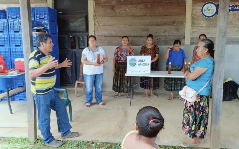 Apicultoras fortalecen capacidades para incursionar en nuevos mercados