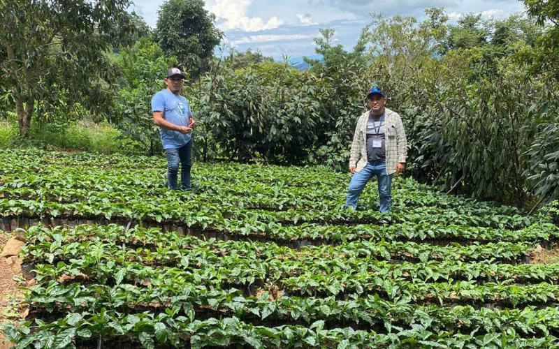 Apoyan con asistencia técnica a caficultores de Zacapa