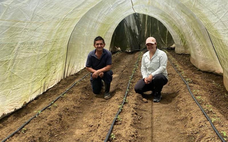 Asistencia técnica es clave para optimizar cultivos