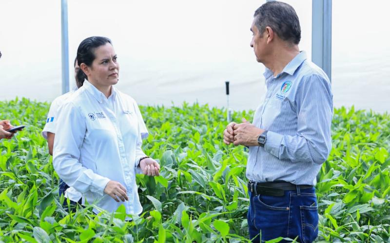 Asistencia técnica y equipamiento impulsa la economía de las cooperativas agrícolas