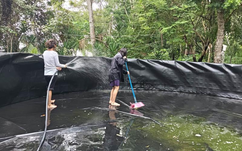Brindan acompañamiento técnico en cosecha acuícola en Petén