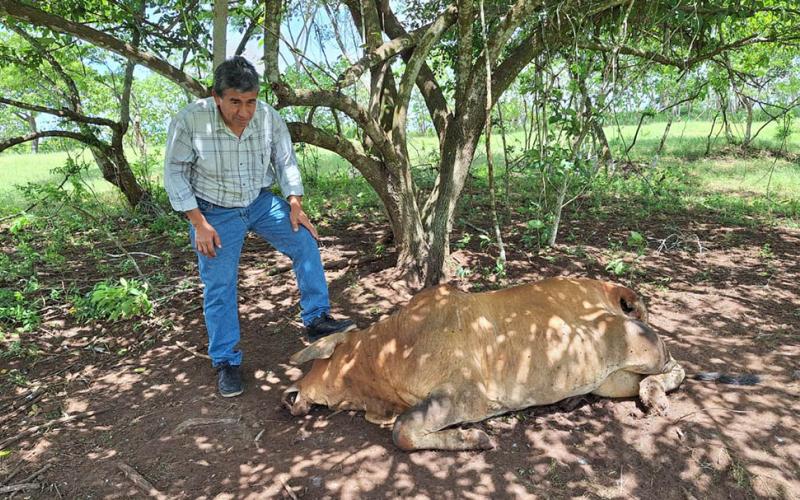 Capacitan a productores pecuarios de Champerico
