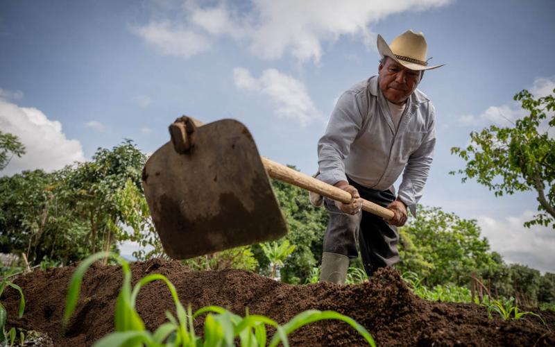 Conozca cómo el Crédito Tob’anik puede impulsar su producción