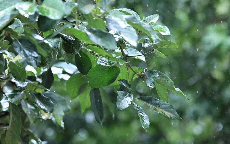 Emiten medidas preventivas en 16 departamentos del país por vulnerabilidad a lluvias 