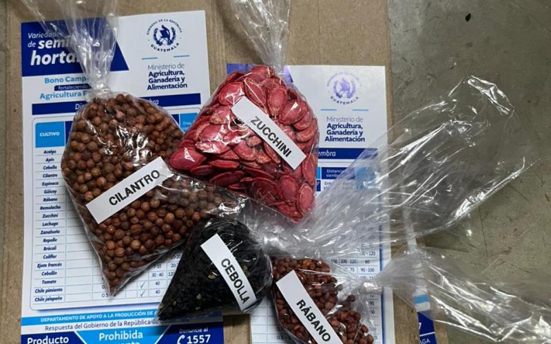 Entregan alimentos y semillas para huertos familiares en Zacapa