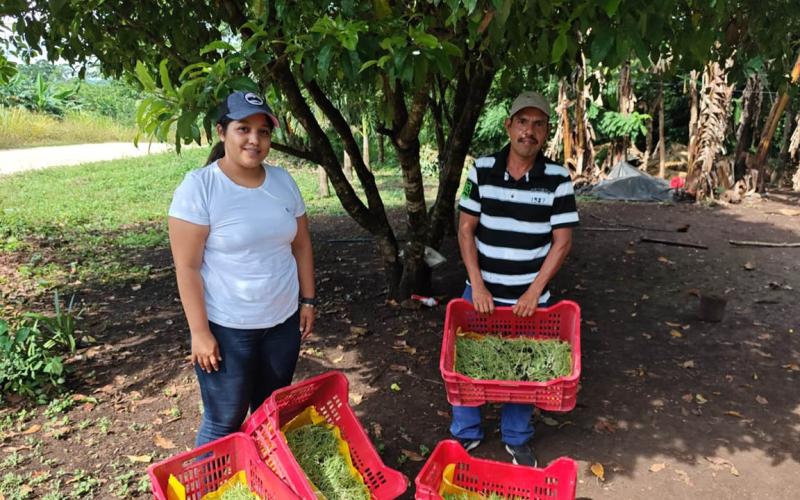 Entregan pilones en Dolores, Petén 