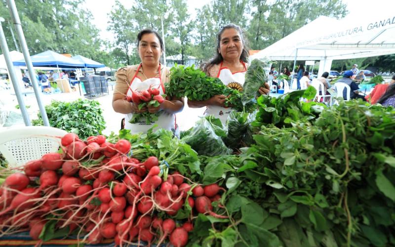 Este año llevamos realizadas 131 Ferias del Agricultor