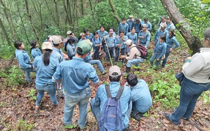 Estudiantes de la ENCA amplían conocimientos en prácticas forestales