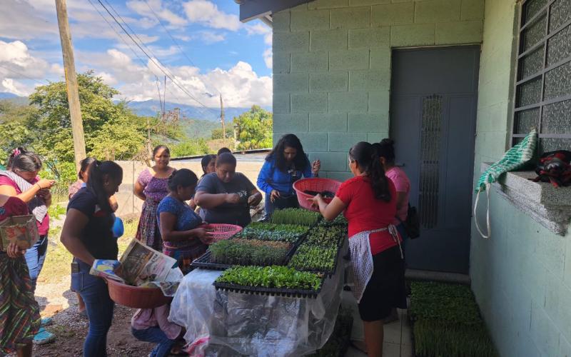 Familias de Chuarrancho beneficiadas con la entrega de pilones de hortalizas