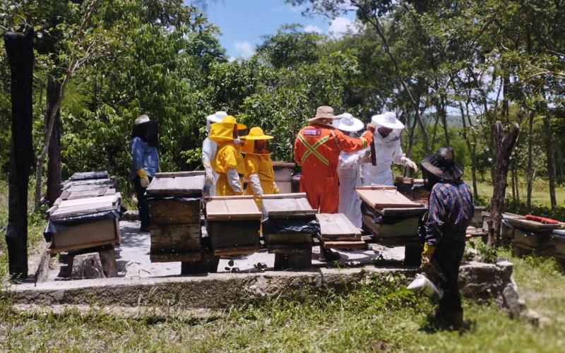 Finaliza diplomado en Turismo Apícola Comunitario