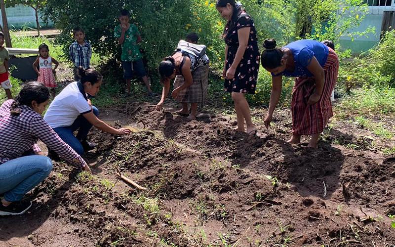 Huertos comunitarios apoyan la seguridad alimentaria en Retalhuleu