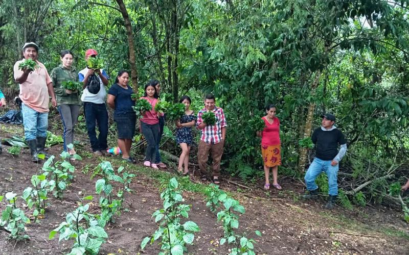 Huertos y acciones por la conservación de las microcuencas benefician a familias zacapanecas