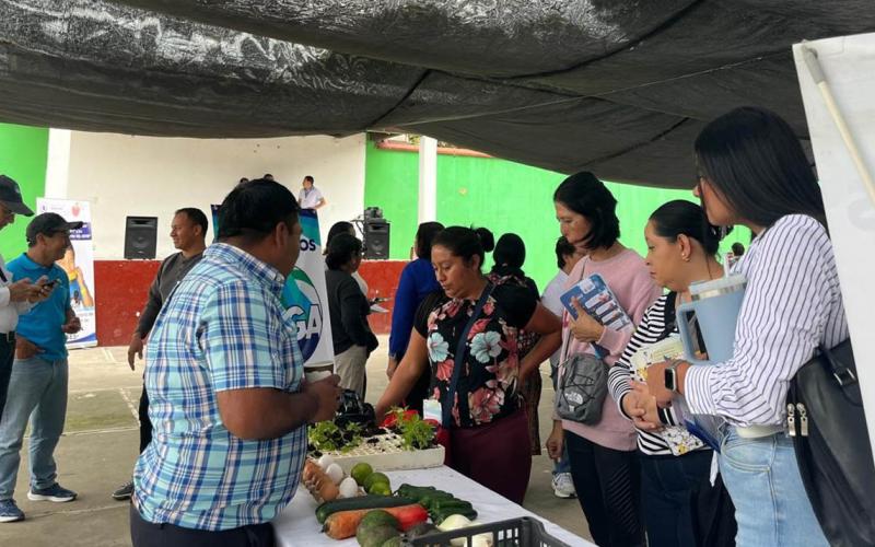 Impulsan a productores locales para que se integren al PAE 