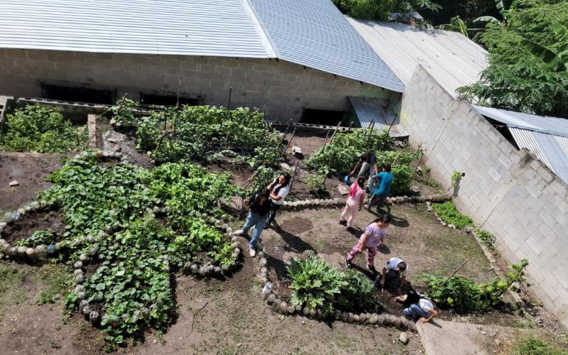 Impulsan huertos pedagógicos y buena alimentación en escuelas de Zacapa