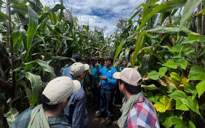 Instruyen en transferencia de tecnología a integrantes del CADER de Quetzaltenango 