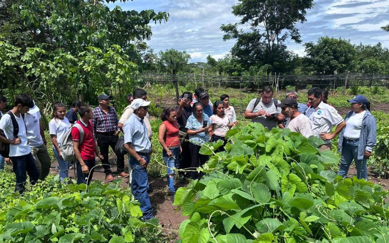 Intercambio de experiencias fortalece el Sistema de Extensión Rural