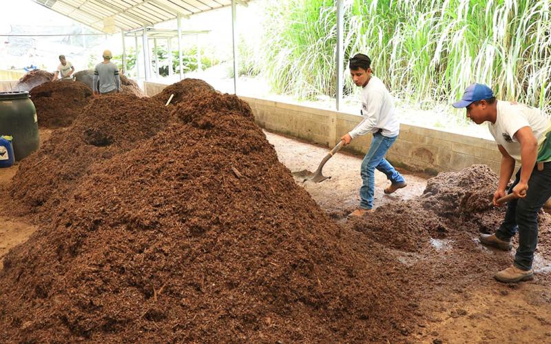 La Agricultura Generativa