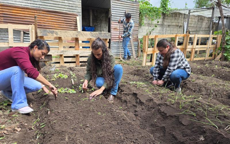 Los huertos demostrativos son una herramienta para el desarrollo agrícola