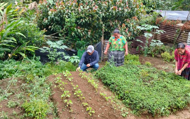 Más de 92 mil familias recibirán alimentos por acciones