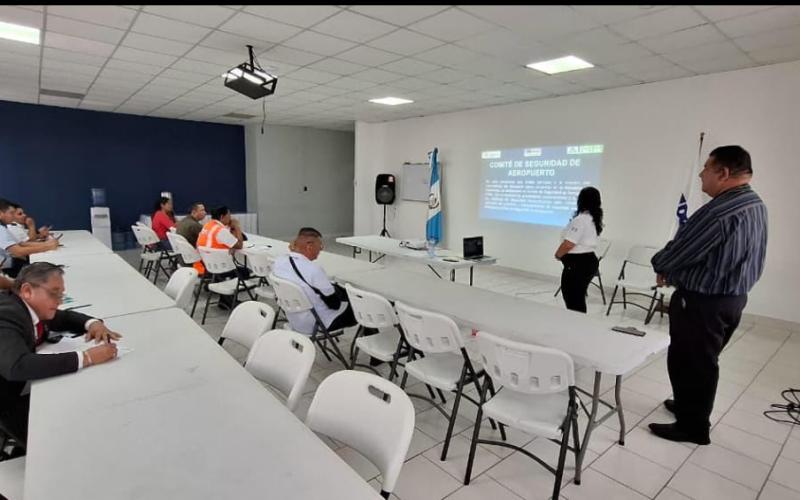 El Comité de Seguridad estará integrado por representantes de las instituciones y organismos que intervienen en las operaciones del aeropuerto