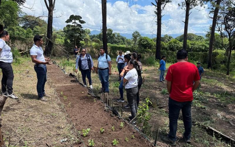 Más de 900 centros educativos fortalecen el aprendizaje con huertos escolares
