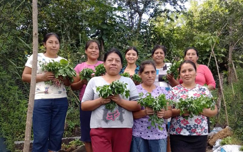 Mejoran productividad y sostenibilidad del suelo en Chiquimula