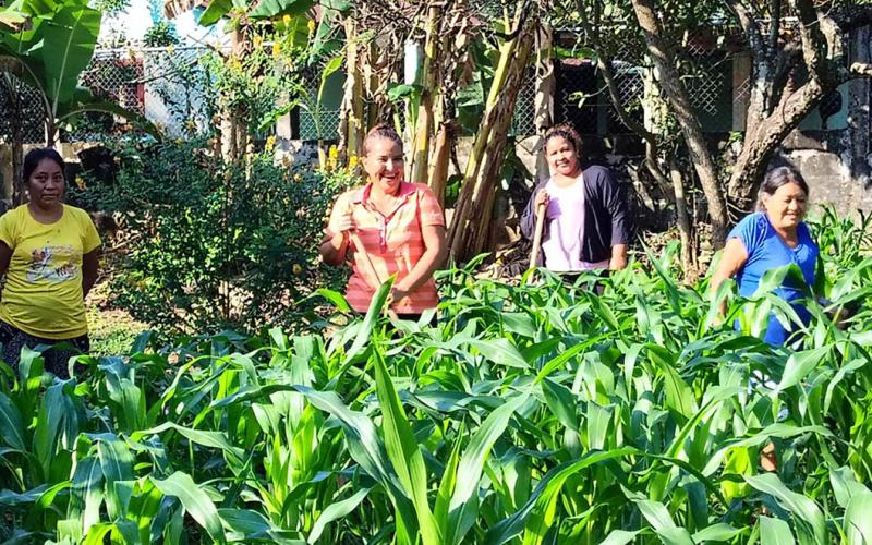 Monitoreo y asistencia técnica fortalecen producción en huerto comunal de San Marcos