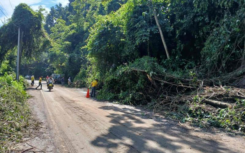 Se realiza limpieza para rehabiltiar paso vial en ruta El Boquerón-Chiquimulilla tras intensas lluvias 