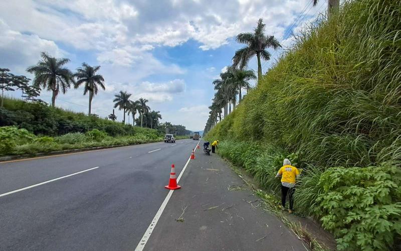 Limpian la autopista Palín–Escuintla: retiran maleza y basura de la carretera 