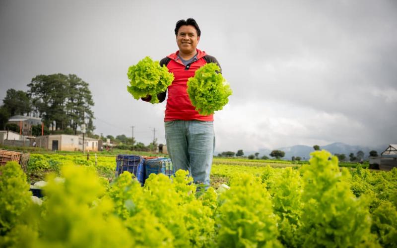 Presentarán oportunidades de inversión para fortalecer la agricultura y el desarrollo 