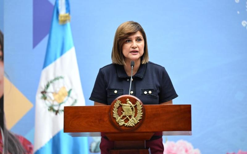 Presidenta en funciones, Karin Herrera 