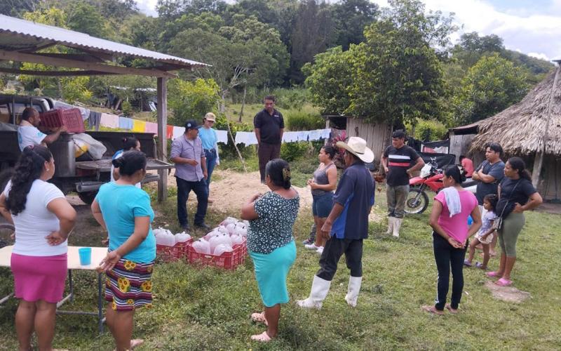 Productores peteneros reciben más de 200 mil alevines de tilapia