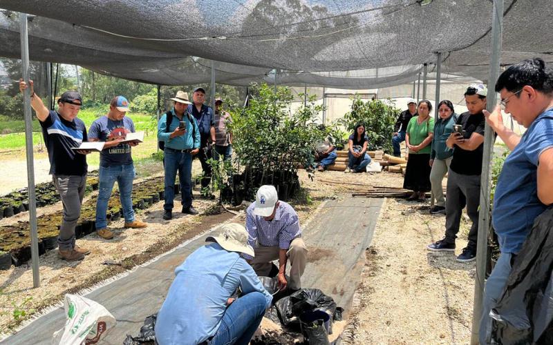 Promueven prácticas agrícolas sostenibles con uso de microorganismos de montaña 