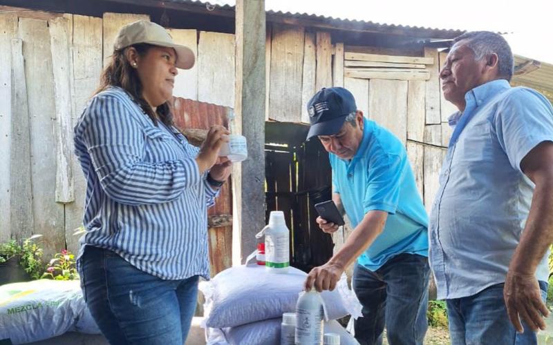 Proyectos agrícolas fortalecen la producción de frijol en San Andrés Petén