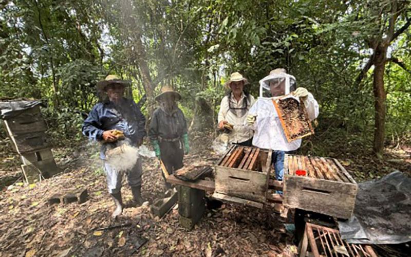 Realizan diagnóstico de patologías apícolas en apiarios de la Costa Sur