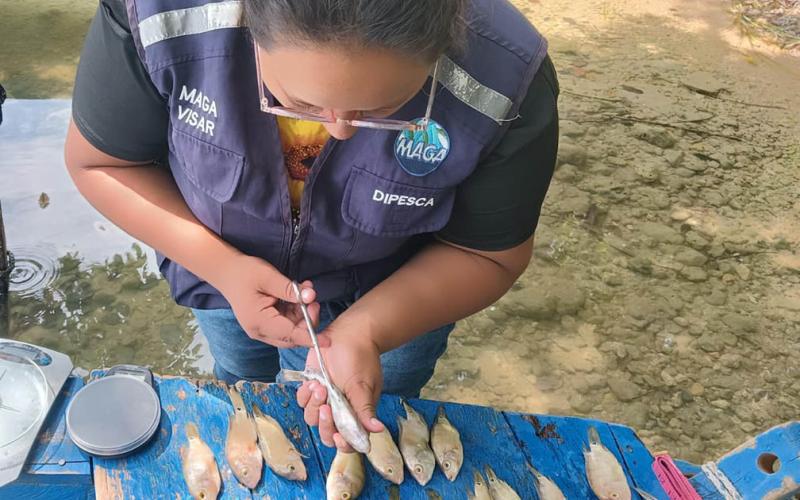 Realizan monitoreo biológico pesquero en distintos puntos del país