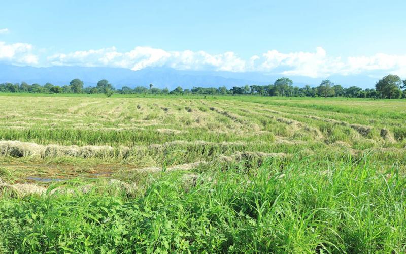 Recomendaciones preventivas por inclemencias climáticas