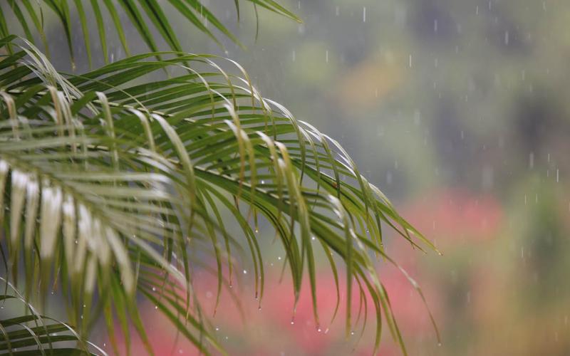 Refuerzan acciones estratégicas ante las lluvias